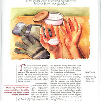 Herbal Cream for Hands by Betty Ann  Medeiros
