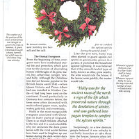 Christmas Wreath by Betty Ann  Medeiros