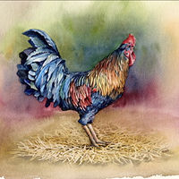 Watercolor Colorful Rooster by Elizabeth4361 Medeiros