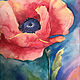 Poppy in Full Bloom by Elizabeth4361 Medeiros